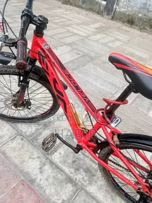 Running Cycle