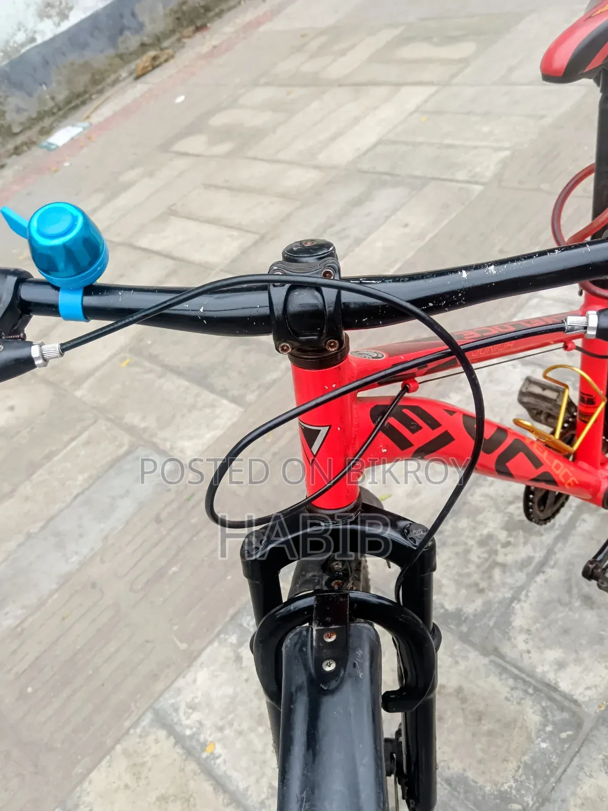 Running Cycle