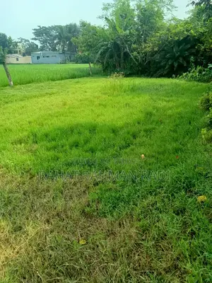 Corner Plot Land