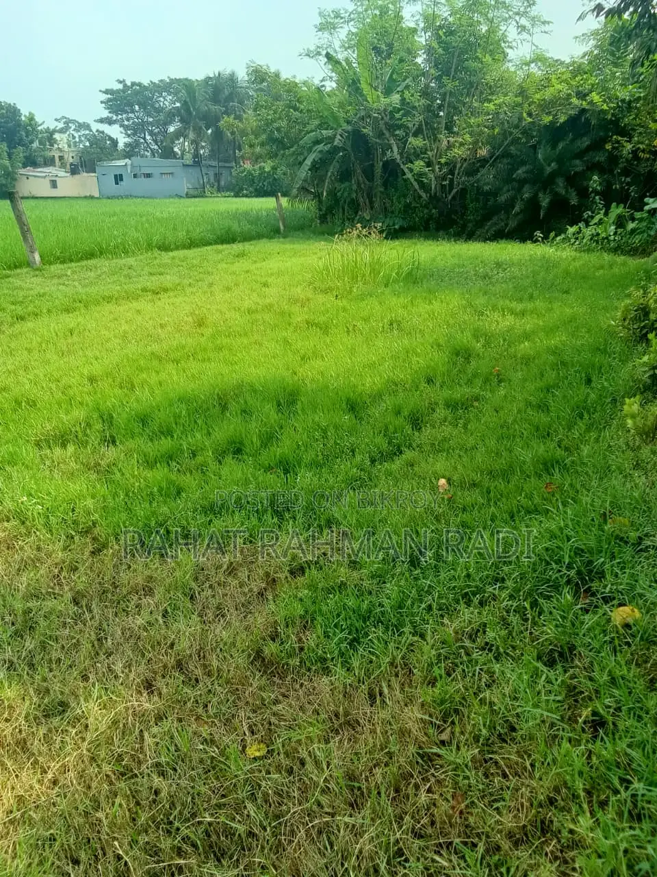 Corner Plot Land