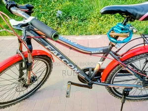 Running Cycle