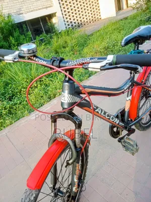 Running Cycle