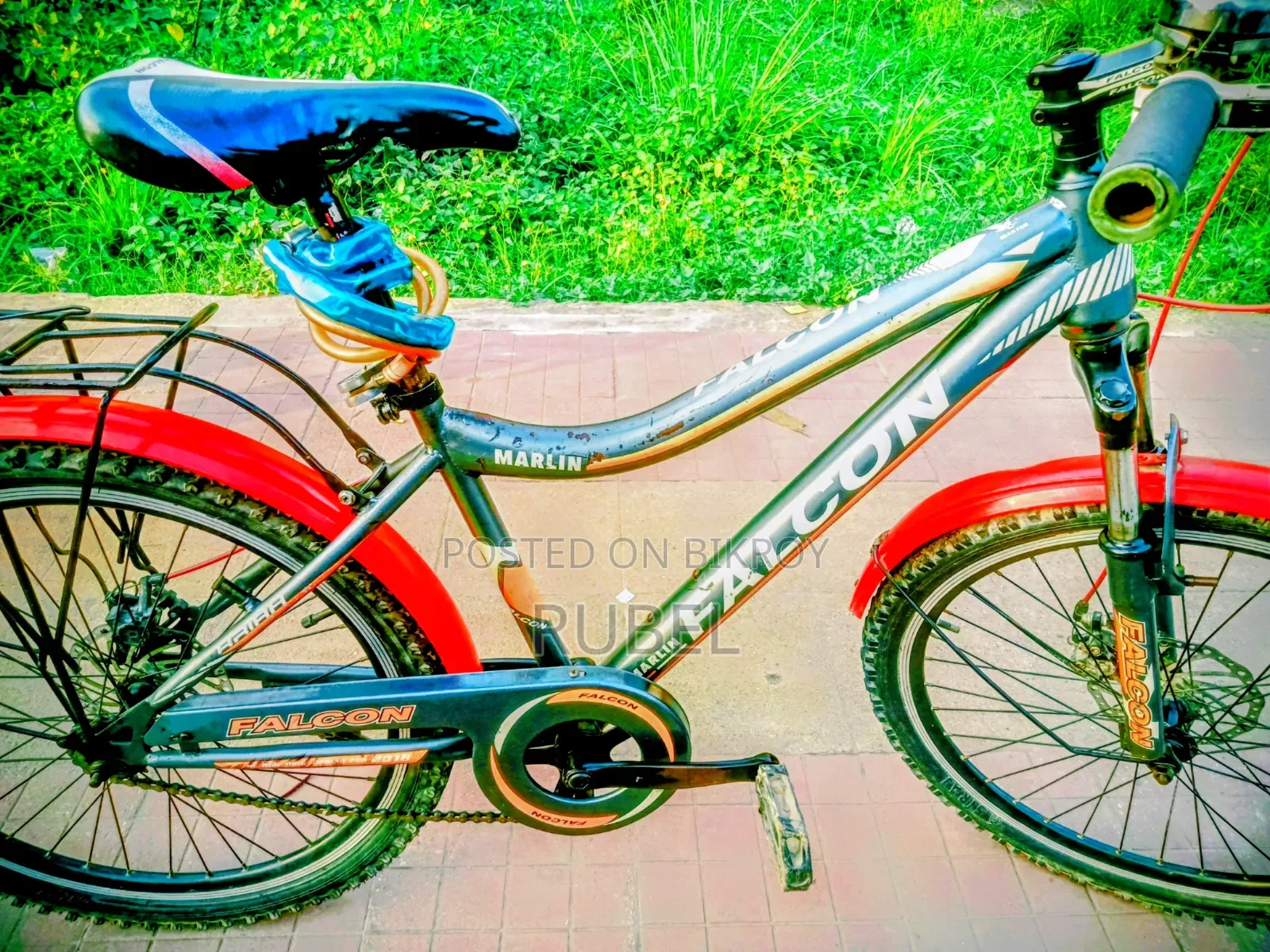 Running Cycle