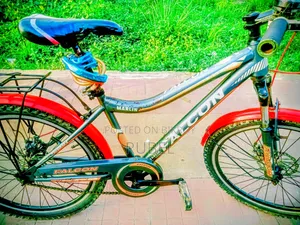 Running Cycle