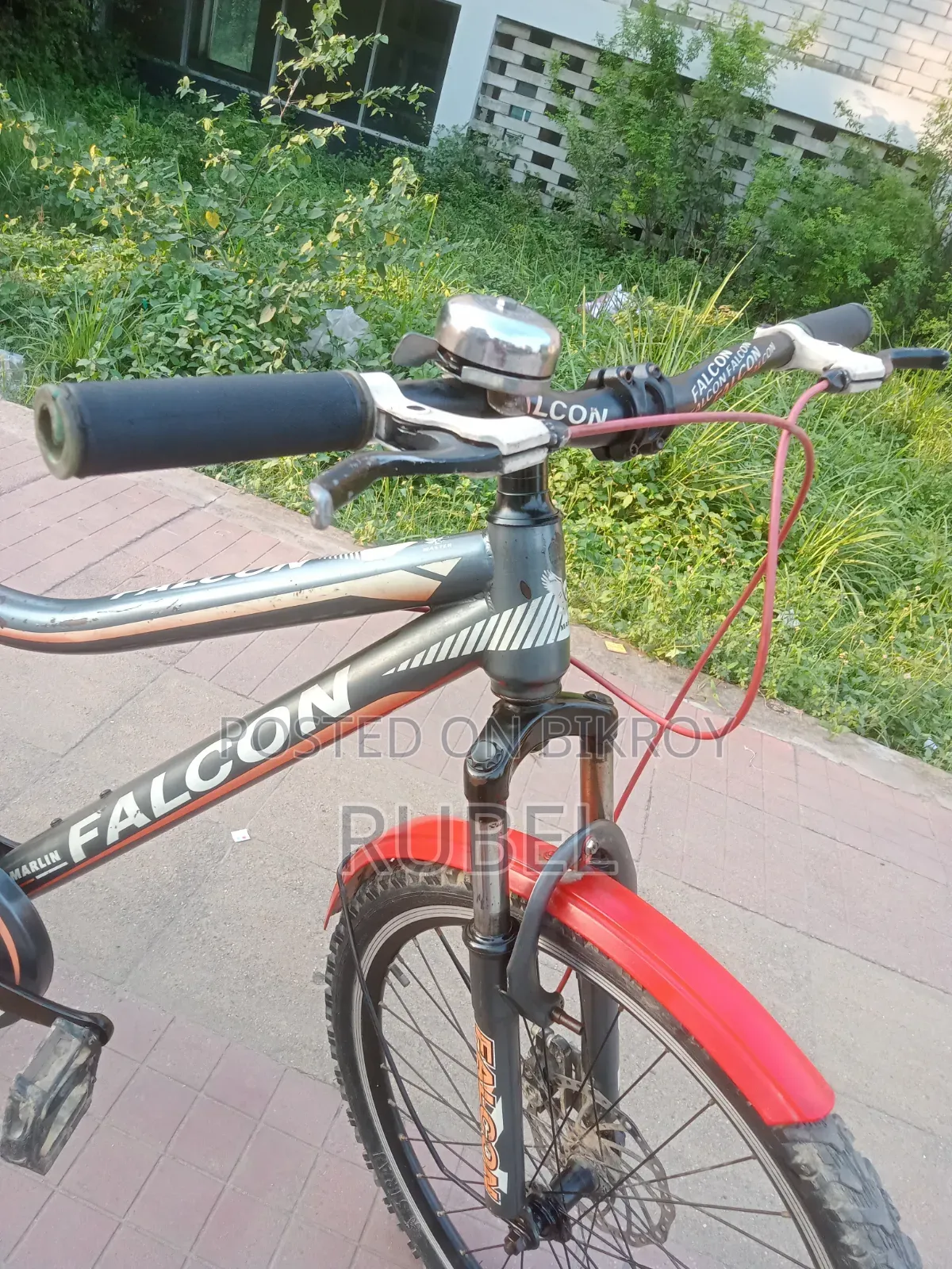 Running Cycle