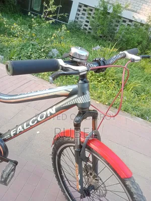 Running Cycle