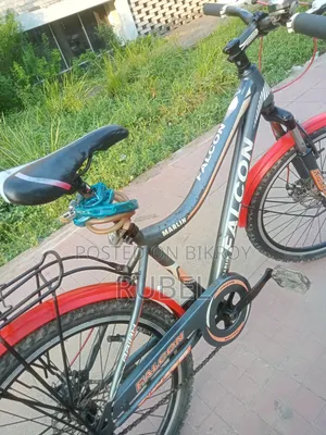 Running Cycle