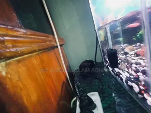 একুরিয়াম বিক্রি হবে মাছ সহ ফুল সেটআপ