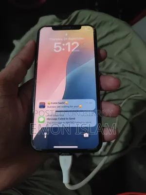 অ্যাপল আইফোন এক্সএস ২৫৬ জিবি রোস গোল্ড