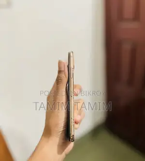 অ্যাপল আইফোন এক্সএস ৬৪ জিবি রোজ গোল্ড