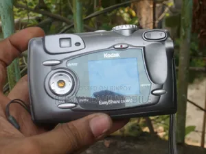 Kodak EasyShare DX4530 Digital Camera (Antique)