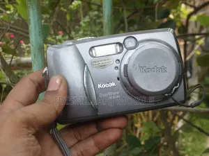 Kodak EasyShare DX4530 Digital Camera (Antique)
