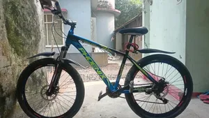 Phoenix Bicycle