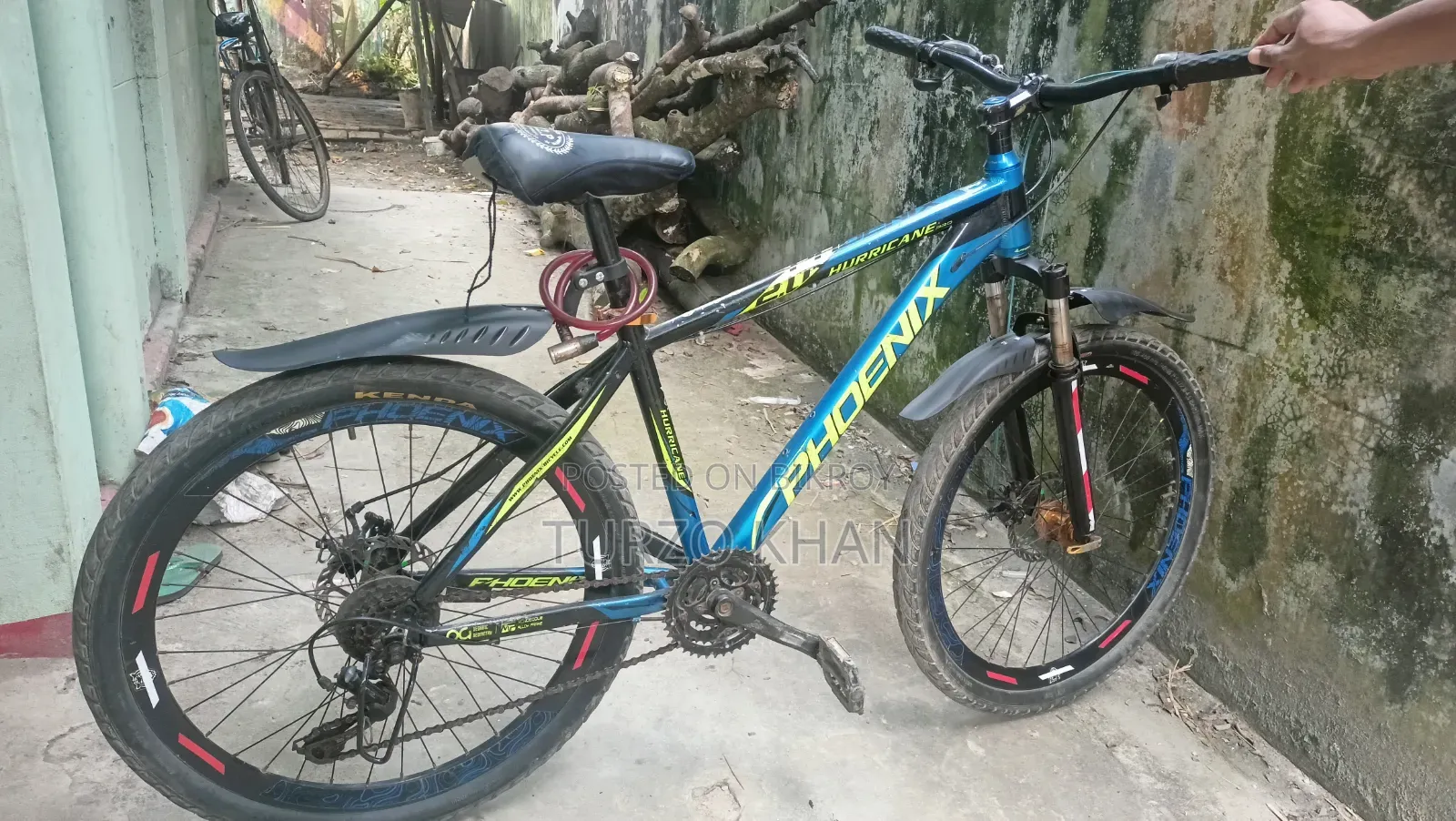 Phoenix Bicycle