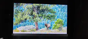 HP Monitor 22er