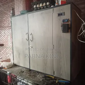 ৩০০ ডিমের ইনকুবিটর বিক্রয় হবে