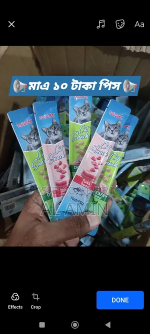 Cat and Kittens Treat