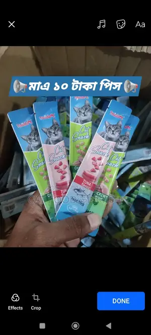 Cat and Kittens Treat