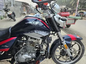 হাওজুয়ে টিআর১৫০/এস ২০২১ কালো