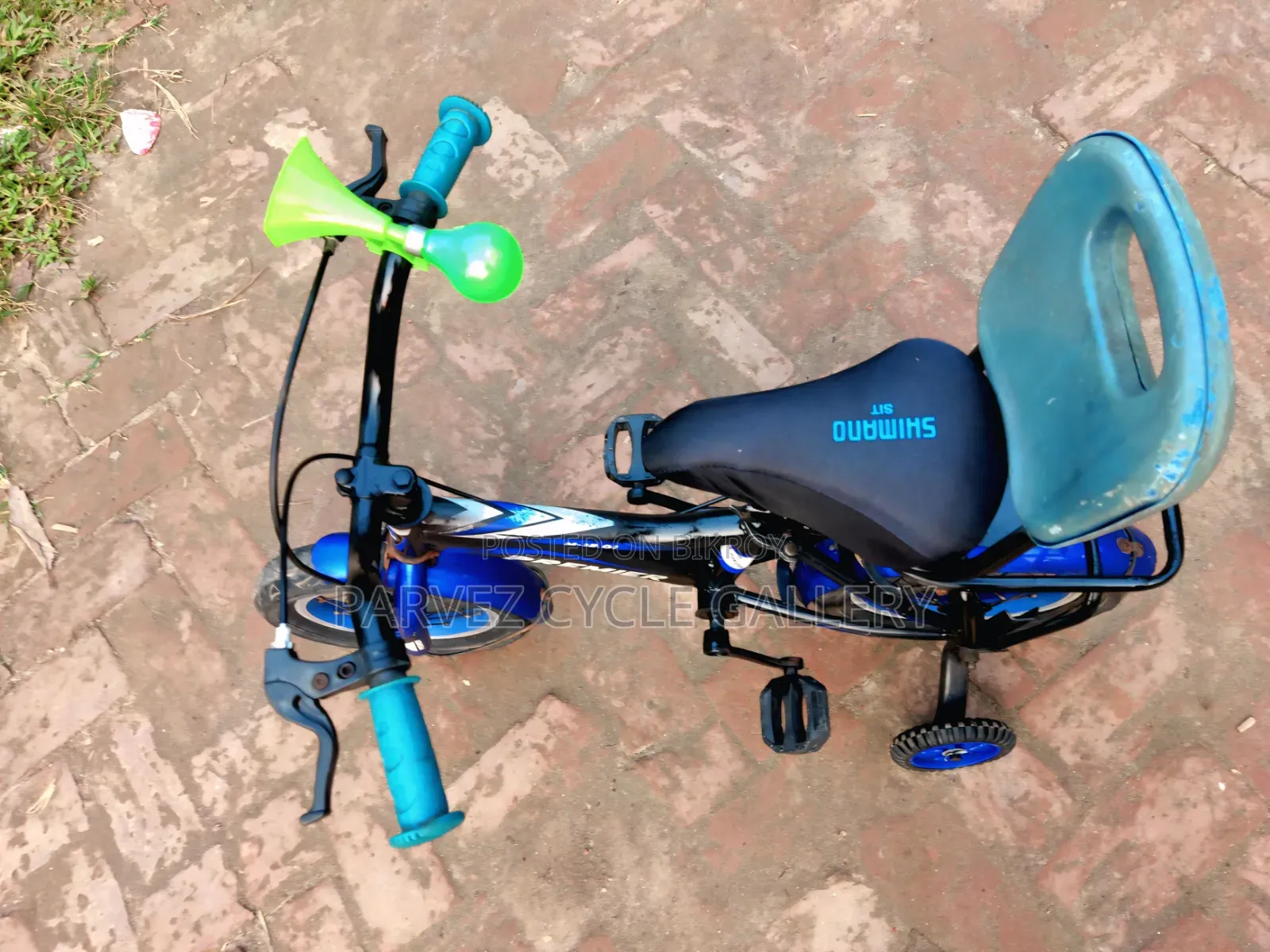 Duranta Premier 12" Full Serviced Kids Cycle