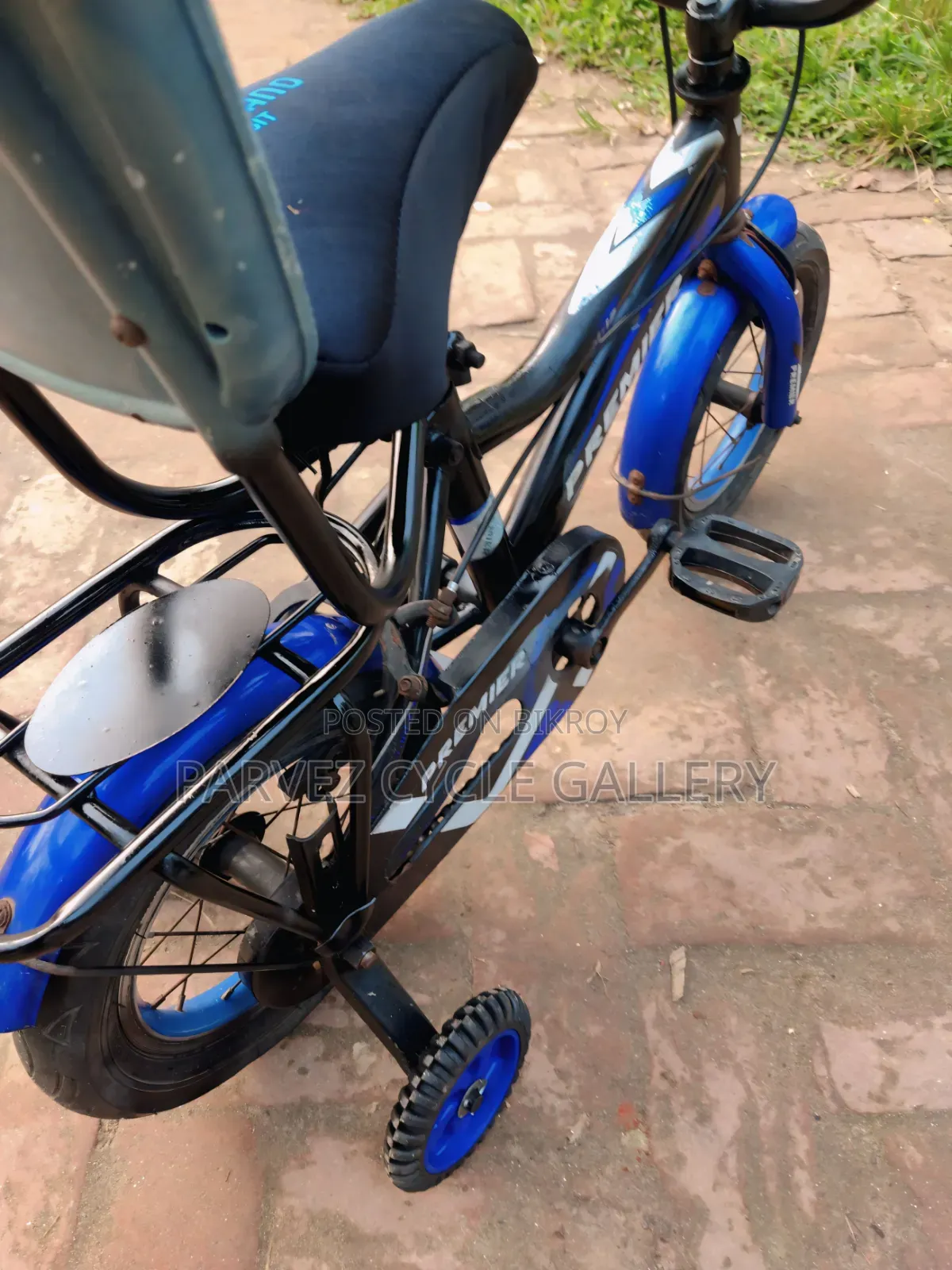 Duranta Premier 12" Full Serviced Kids Cycle