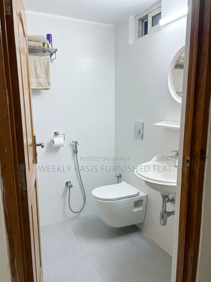 Studio Apartment for bird breeding in Mirpur for rent