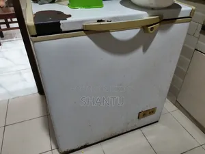 সিঙ্গার ডিপ ফ্রিজ