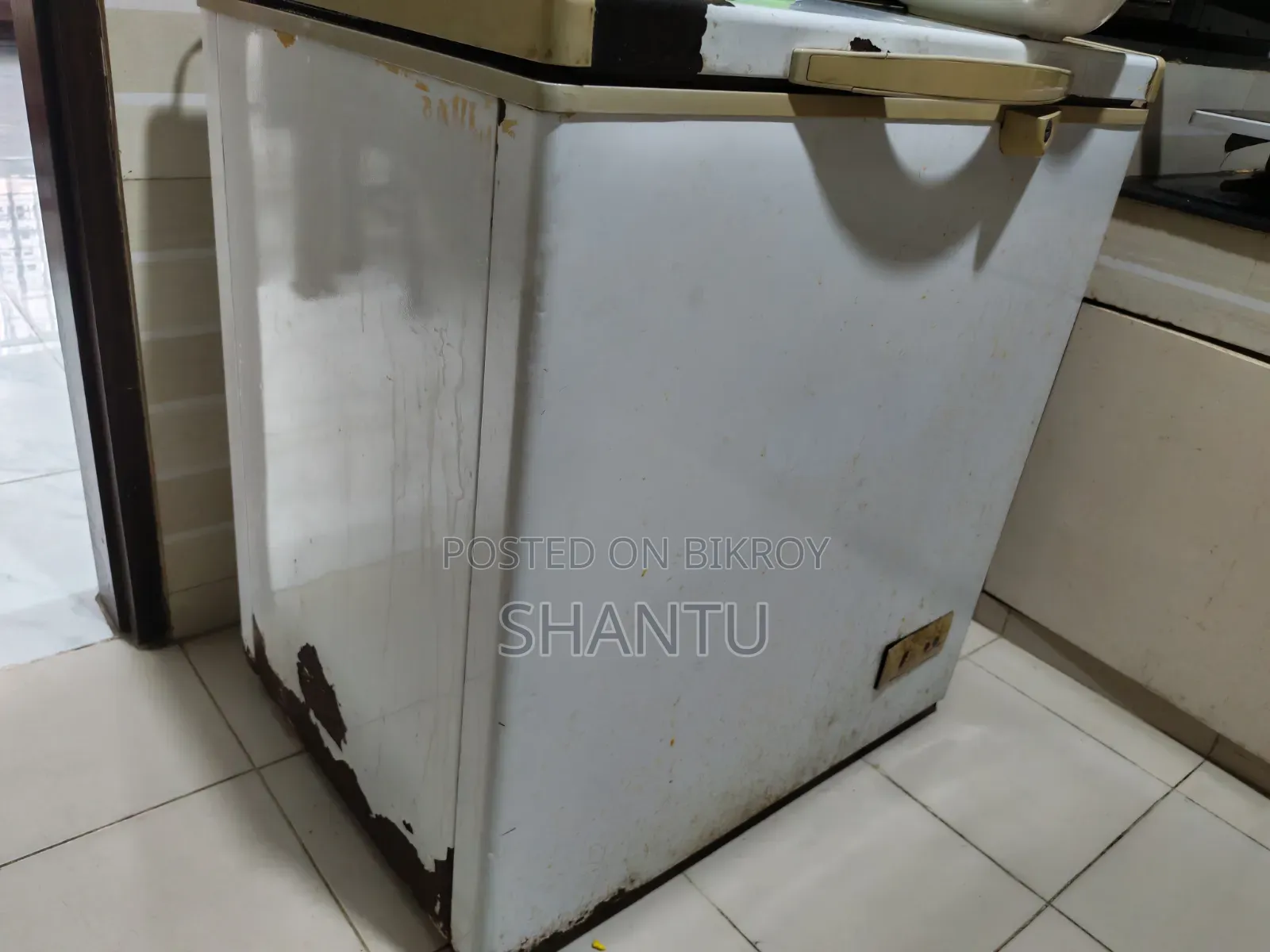 সিঙ্গার ডিপ ফ্রিজ
