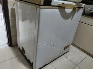 সিঙ্গার ডিপ ফ্রিজ