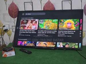 Philips 40" TV + Google TV Box (Voice Control)