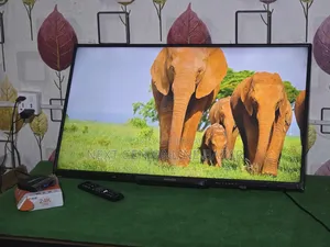 Philips 40" TV + Google TV Box (Voice Control)