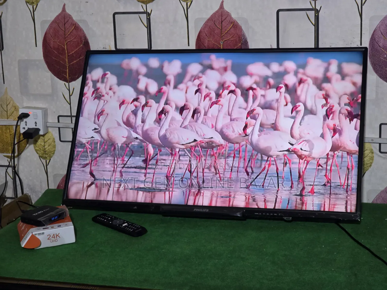 Philips 40" TV + Google TV Box (Voice Control)
