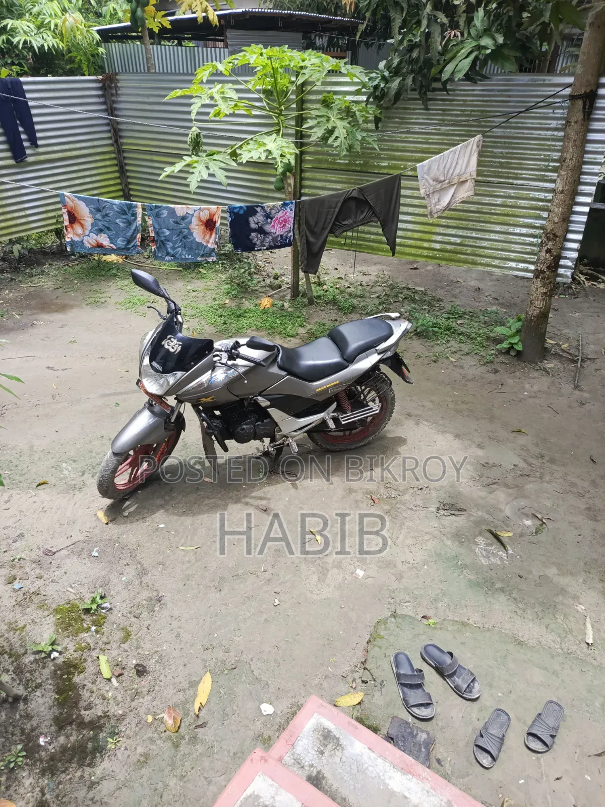 Hero 2012 Silver