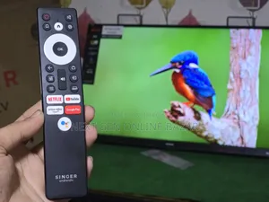 Singer 43" Voice Control TV