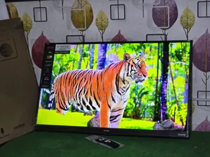 Singer 43" Voice Control TV
