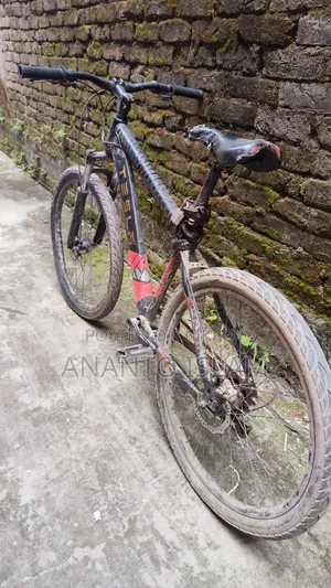 Budget Friendly Cycle for Sell