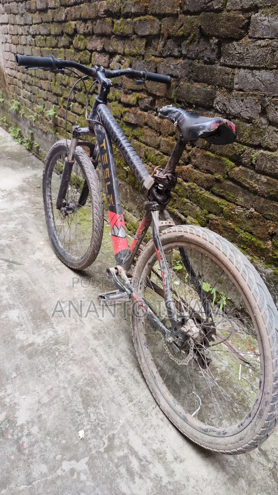 Budget Friendly Cycle for Sell