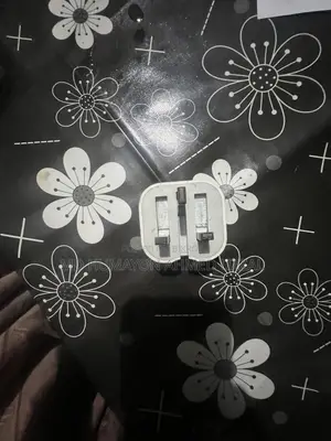 অ্যাপল ২০ওয়াট চার্জার