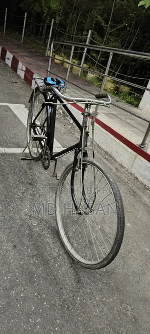 Phoenix Bicycle