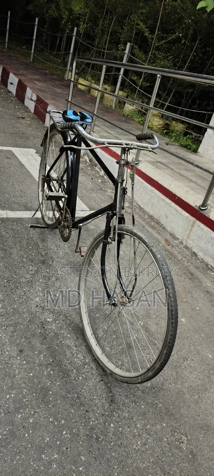 Phoenix Bicycle