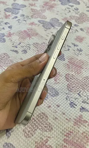 Apple iPhone 15 Pro Max 256 GB Gray