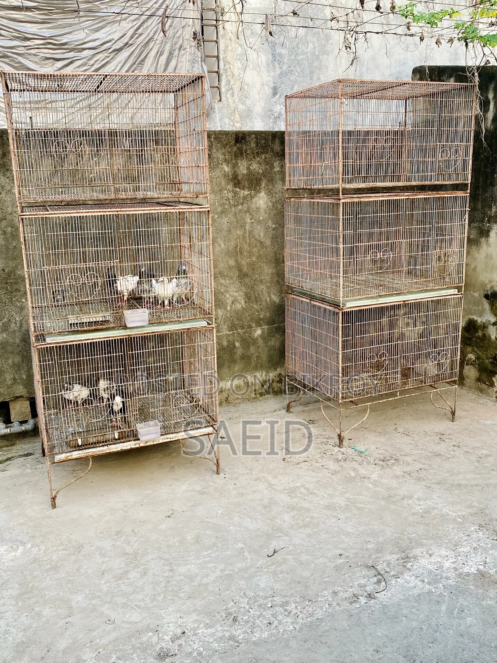 Made Cage