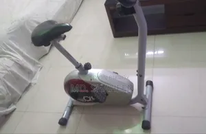 লাইফ ফিট ম্যাগনেটিক বাইক