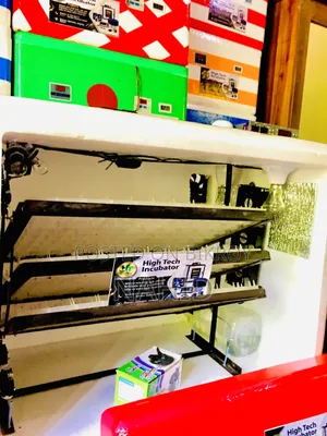 ১০০০ ডিমের সম্পুর্ন অটো ইনকিউবেটরে