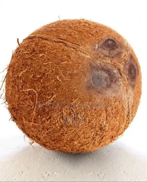 ছিলা নারিকেল
