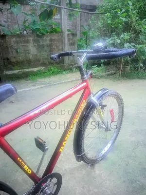 Ranger 2025 Mountain Bicycle