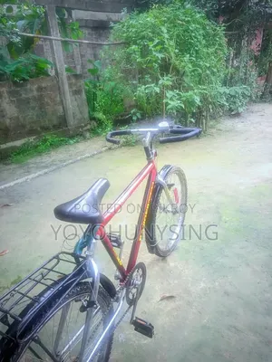 Ranger 2025 Mountain Bicycle