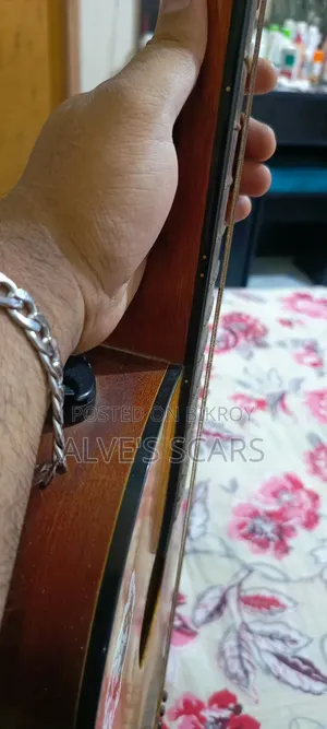 Chard Guiter Model 4040