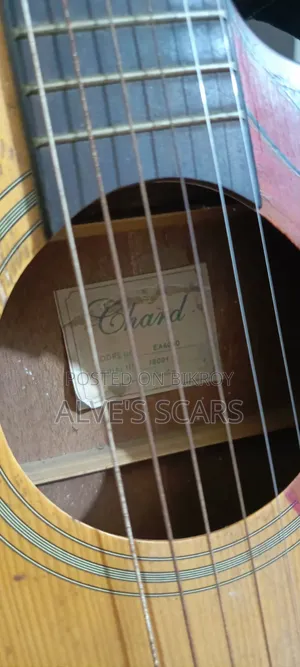 Chard Guiter Model 4040