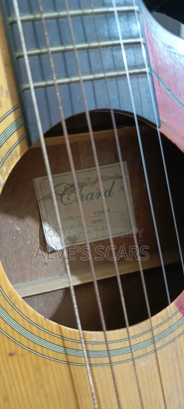 Chard Guiter Model 4040